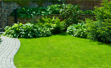 tuin vm services 1 tuin vm services 1